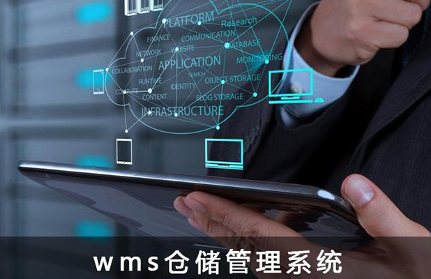 Venus-LES(WMS)系統